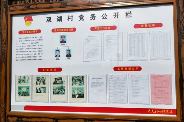 梅龍街道雙湖村加強黨務公開做好黨建工作.jpg